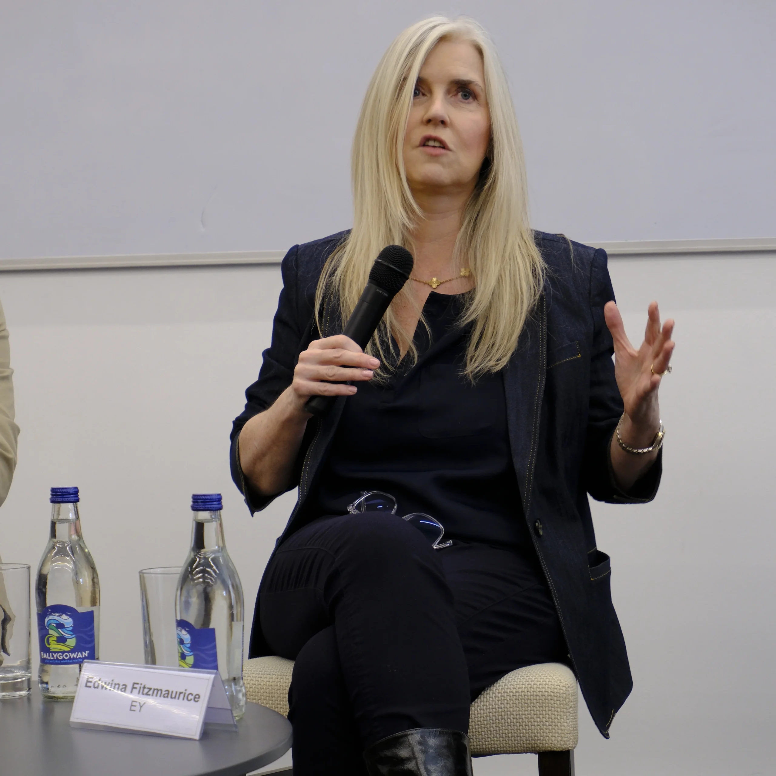 Edwina Fitzmaurice speaking at IVI Summit 2025